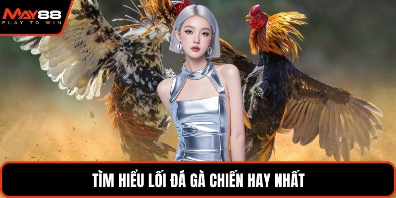 Tìm hiểu lối đá gà chiến hay nhất
